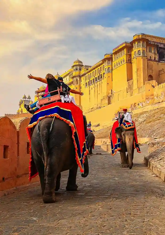Amber Fort Jaipur